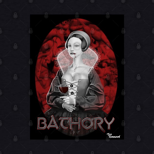 Vampire Queen-Elizabeth Bathory by ted1air